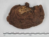 登錄號:F0004942藏品圖，第1張