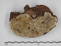 登錄號:F0004942藏品圖，第4張
