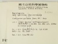 登錄號:F0004943藏品圖，第2張