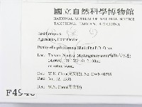 登錄號:F0004946藏品圖，第2張