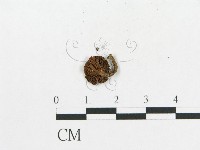 登錄號:F0004947藏品圖，第3張