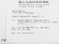 登錄號:F0004948藏品圖，第2張