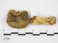 登錄號:F0004948藏品圖，第3張