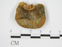 登錄號:F0004948藏品圖，第4張