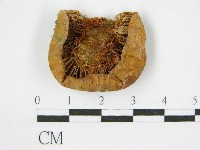 登錄號:F0004948藏品圖，第5張