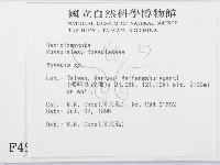 紅菇屬藏品圖，第2張