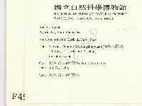 登錄號:F0004950藏品圖，第2張