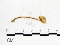 登錄號:F0004951藏品圖，第1張