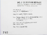 登錄號:F0004954藏品圖，第2張