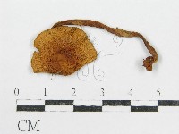 登錄號:F0004954藏品圖，第3張
