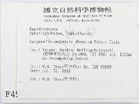 登錄號:F0004955藏品圖，第2張