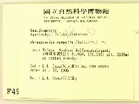 登錄號:F0004956藏品圖，第2張