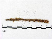 登錄號:F0004956藏品圖，第3張