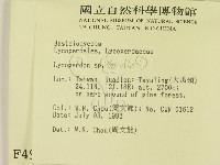 登錄號:F0004957藏品圖，第2張