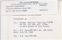 登錄號:F0004957藏品圖，第3張