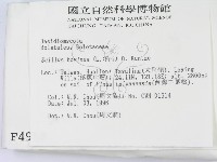 登錄號:F0004958藏品圖，第2張