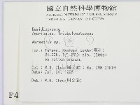 小皮傘屬藏品圖，第2張