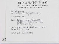 登錄號:F0004961藏品圖，第2張