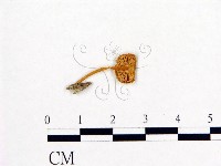 登錄號:F0004961藏品圖，第1張