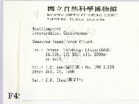 登錄號:F0004963藏品圖，第2張