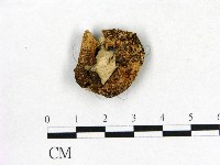 登錄號:F0004963藏品圖，第3張