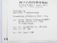 登錄號:F0004965藏品圖，第2張