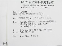 登錄號:F0004966藏品圖，第2張