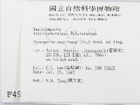 登錄號:F0004967藏品圖，第2張