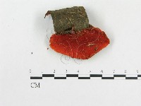 登錄號:F0004967藏品圖，第3張