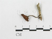 登錄號:F0004968藏品圖，第3張