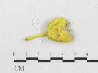 登錄號:F0004971藏品圖，第3張