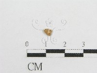 登錄號:F0004976藏品圖，第1張