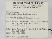 棕色革菌藏品圖，第2張