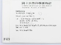 登錄號:F0004980藏品圖，第2張