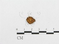 登錄號:F0004980藏品圖，第1張