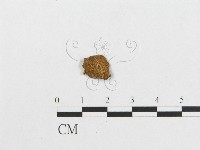 登錄號:F0004980藏品圖，第3張