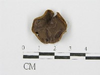 毛木耳藏品圖，第1張