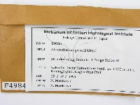 登錄號:F0004984藏品圖，第2張