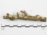 登錄號:F0004984藏品圖，第1張