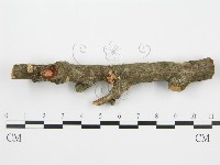 登錄號:F0004984藏品圖，第4張