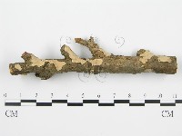 登錄號:F0004984藏品圖，第5張