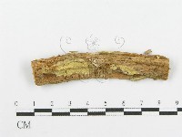 登錄號:F0004985藏品圖，第1張