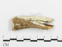 登錄號:F0004986藏品圖，第1張
