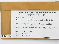 登錄號:F0004987藏品圖，第2張