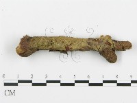 登錄號:F0004987藏品圖，第1張