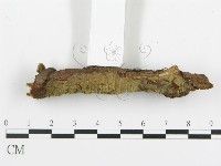 登錄號:F0004987藏品圖，第3張