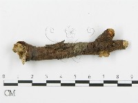 登錄號:F0004987藏品圖，第4張