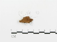 登錄號:F0004988藏品圖，第4張