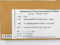 登錄號:F0004989藏品圖，第2張