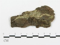 登錄號:F0004989藏品圖，第1張